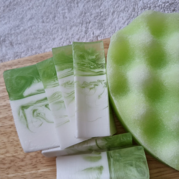 Soap Slice - Coconut Lime