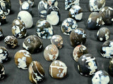 Crystal Freeform - Orca Agate
