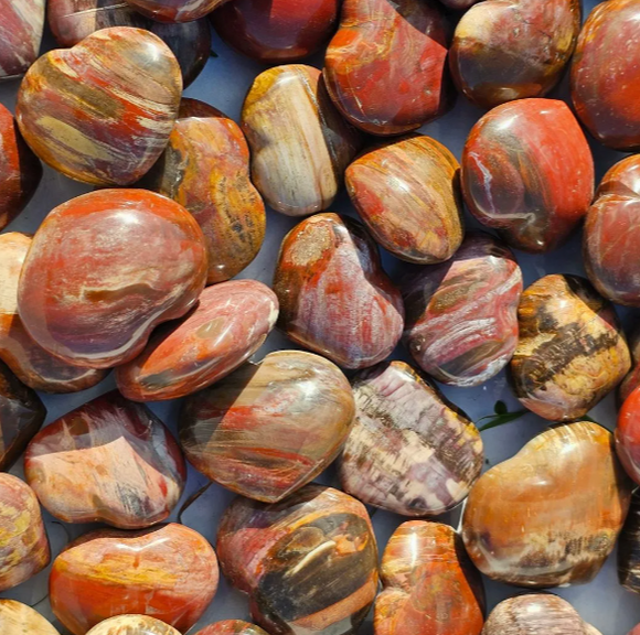 Fossilised Wood - Hearts (Petrified Wood)