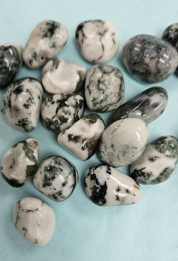 Crystals - Polished Tumble Stones - Tree Agate