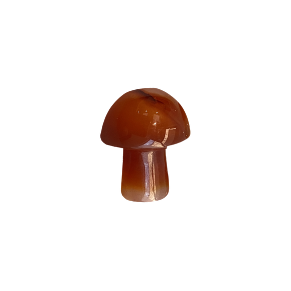Crystal Mushroom - Carnelian