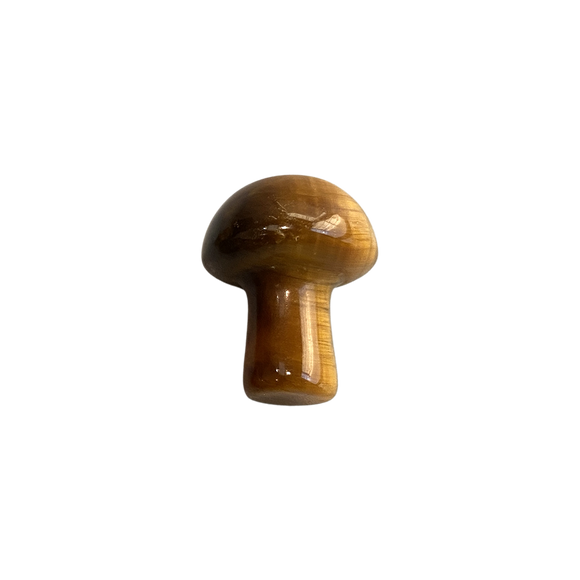 Crystal Mushroom - Tigers Eye