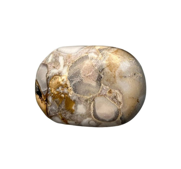 Crystal Palm Stone - Spotted Agate