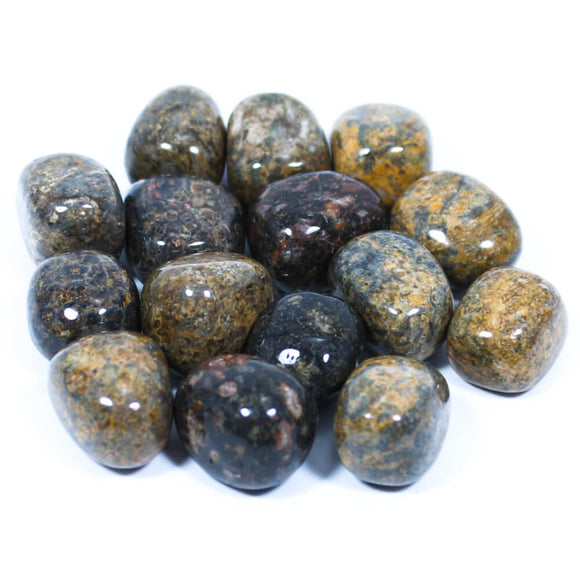 Crystals - Polished Tumble Stones - Leopards Skin Jasper