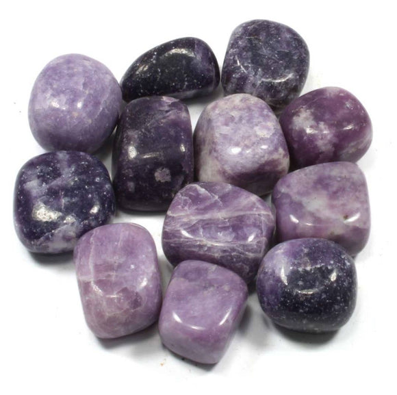 Crystals - Polished Tumble Stones - Lepidolite